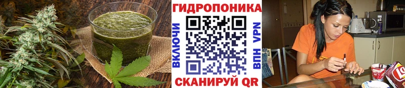 Печенье с ТГК марихуана  OMG ONION  Апатиты  дарнет шоп 