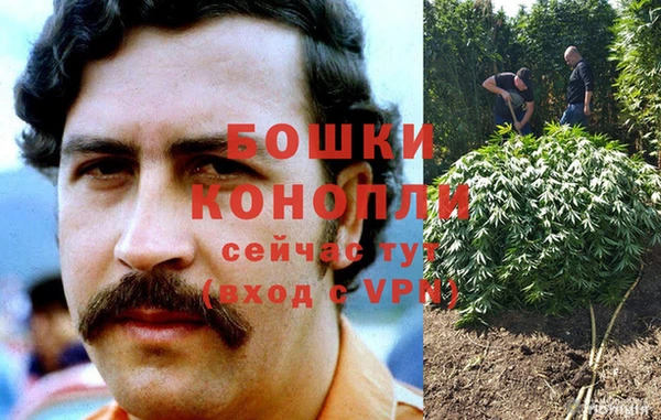 шишки Остров