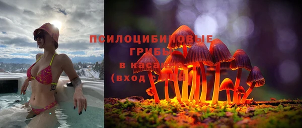 шишки Остров