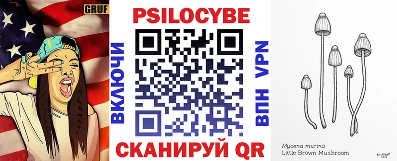 Псилоцибиновые грибы прущие грибы  Апатиты 