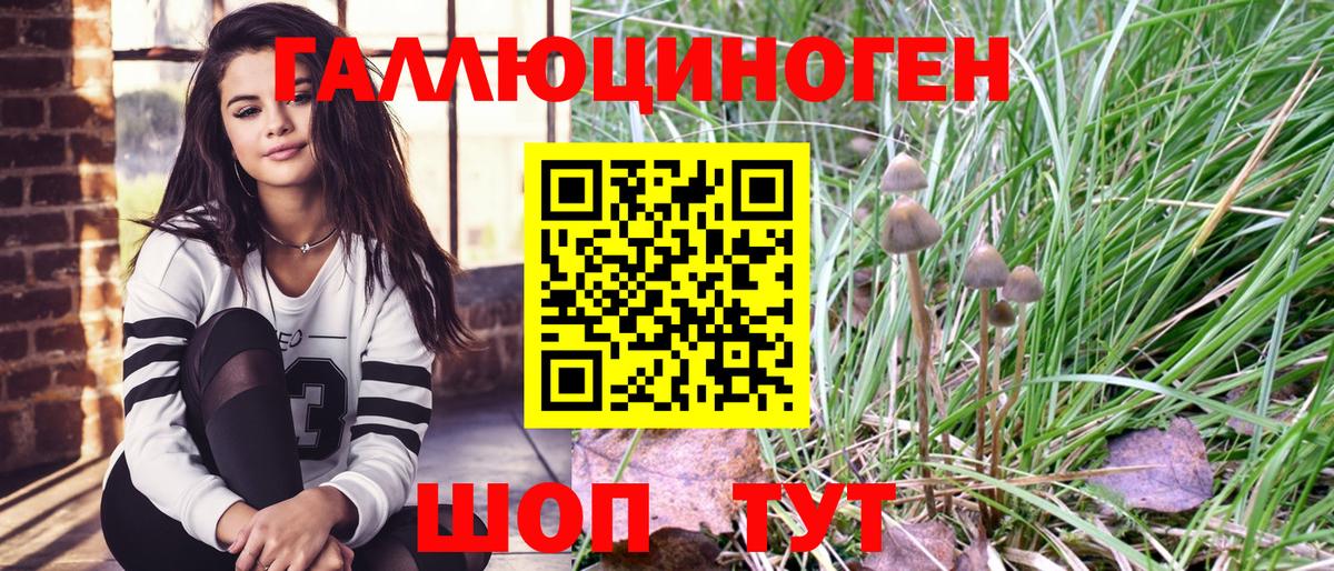 Псилоцибиновые грибы ЛСД Апатиты