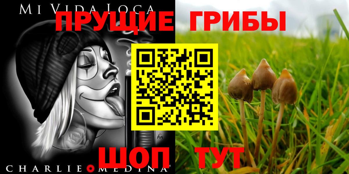Галлюциногенные грибы мицелий  Вход с VPN  Псилоцибиновые грибы Psilocybe  Апатиты 