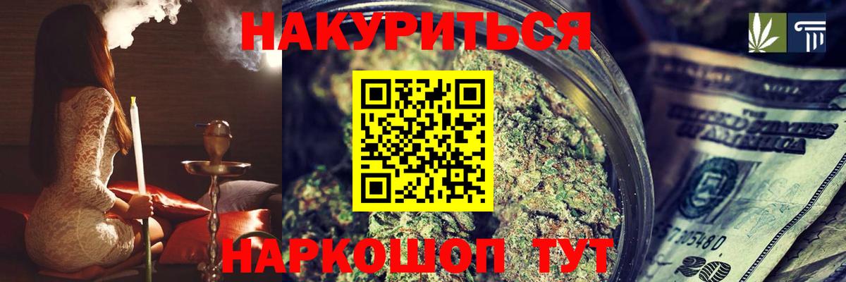 Конопля сатива Апатиты